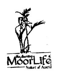 NEYHARTING MOORLIFE TAGESCREME logo