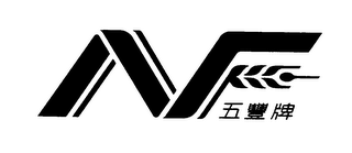 NF logo