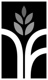 NF logo
