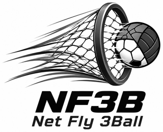 NF3B NET FLY 3BALL logo