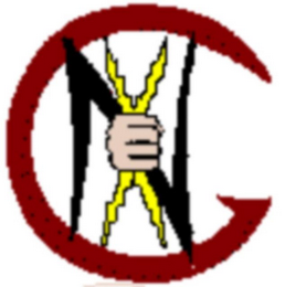 NG logo