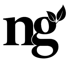 NG logo