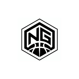 NG logo