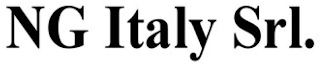 NG ITALY SRL. logo