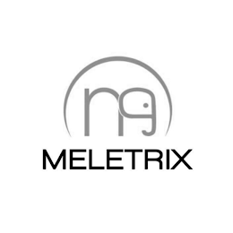 NG MELETRIX logo