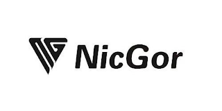 NG NICGOR logo