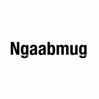 NGAABMUG logo
