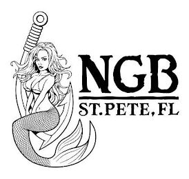 NGB ST. PETE, FL logo