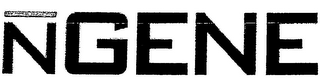 NGENE logo
