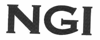 NGI logo