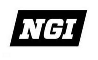 NGI logo
