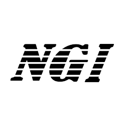 NGI logo