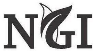 NGI NATURE'S GIFTS INTERNATIONSL logo