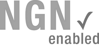 NGN ENABLED logo