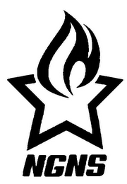 NGNS logo