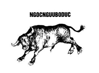 NGOCNGUUBODUC logo