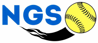 NGS logo