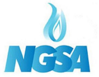 NGSA logo