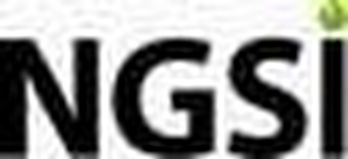 NGSI logo