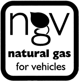 NGV NATURAL GAS FOR VEHICLES logo
