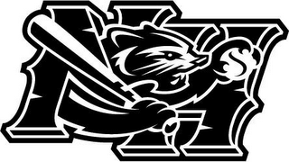 NH logo
