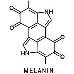 NH NH MELANIN logo