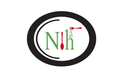 N!HSAY logo
