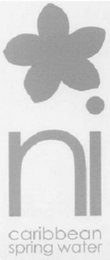 NI CARIBBEAN SPRING WATER logo