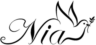 NIA logo