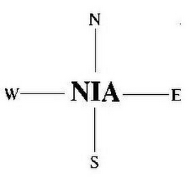 NIA N E S W logo