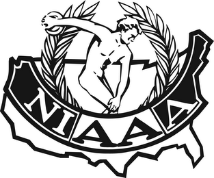 NIAAA logo