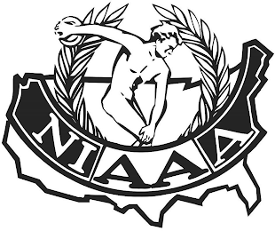 NIAAA logo