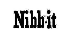 NIBB-IT logo