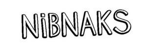 NIBNAKS logo