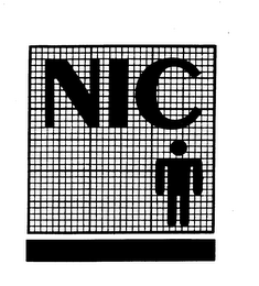 NIC logo