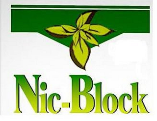 NIC-BLOCK logo
