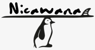 NICAWANA logo