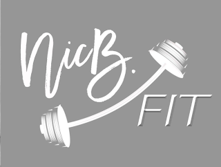 NICB. FIT logo