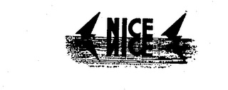 NICE logo