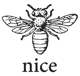 NICE logo
