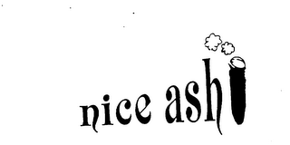 NICE ASH logo
