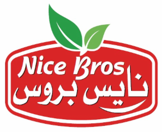 NICE BROS logo