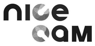 NICE CAM logo