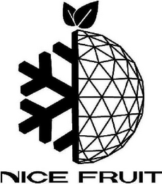 NICE FRUIT logo