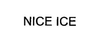 NICE ICE logo