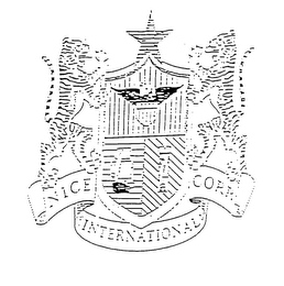 NICE INTERNATIONAL CORP logo