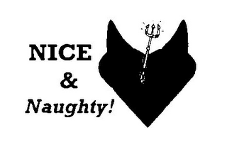 NICE & NAUGHTY! logo
