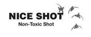 NICE SHOT NON-TOXIC SHOT logo