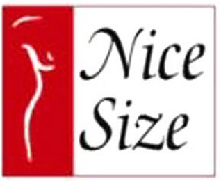 NICE SIZE logo