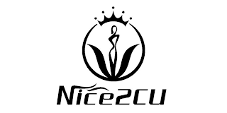 NICE2CU logo